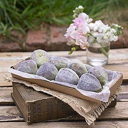 2025年5月国产游戏版号公开 《暗黑破坏神2：重制版》PC版国服、PS5《异环》过审